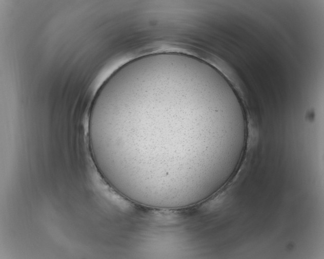 X0000110691198200906261337