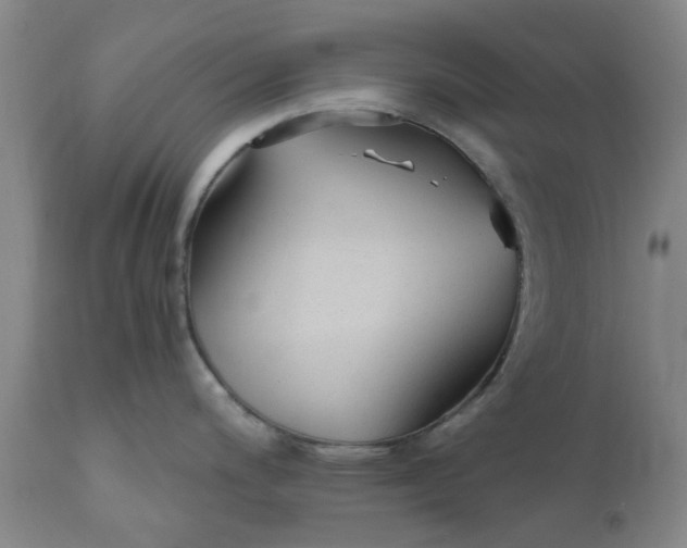 X0000110691200200906261337