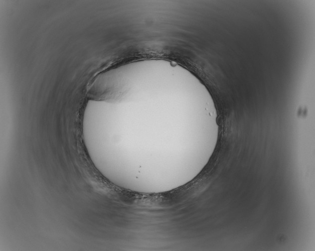 X0000110691201200906261336