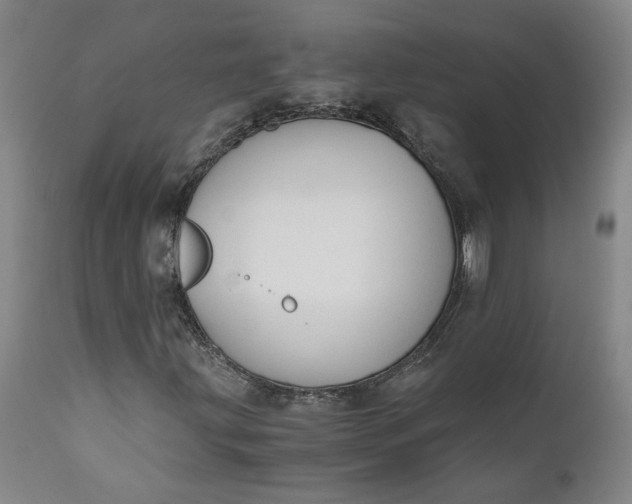 X0000110691203200906261336