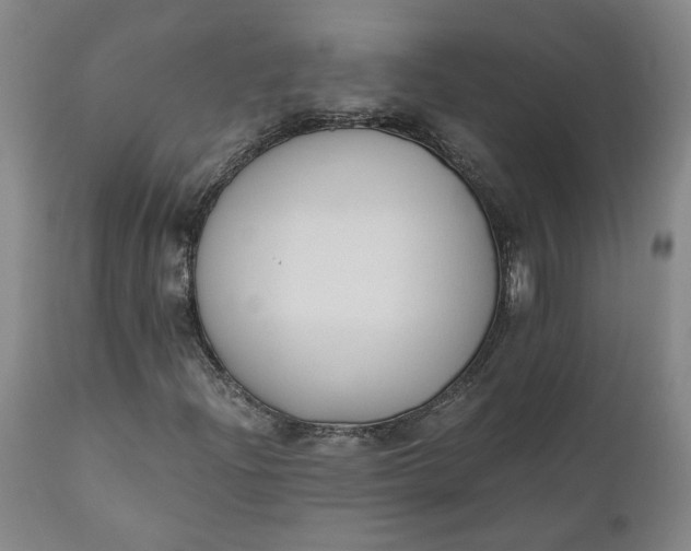 X0000110691204200906261336