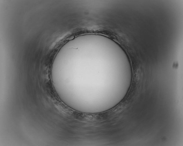 X0000110691205200906261336