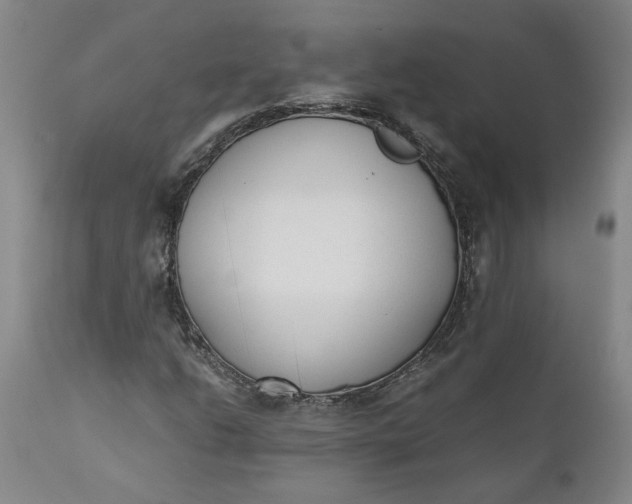 X0000110691206200906261336