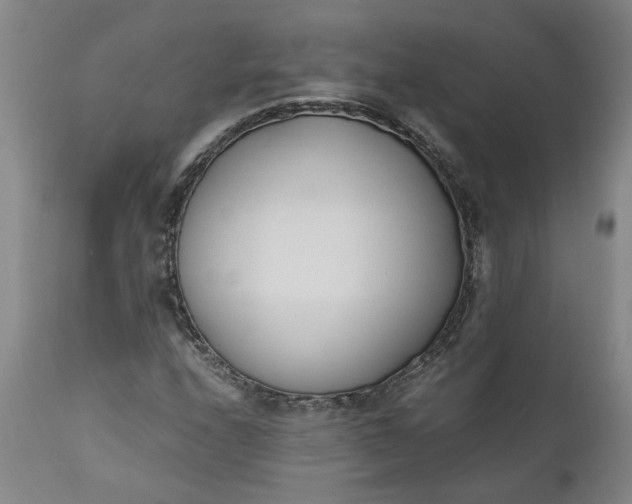 X0000110691208200906261336