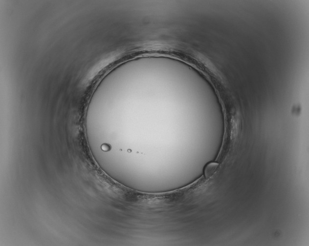 X0000110691213200906261336