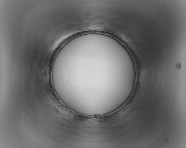 X0000110691214200906261336