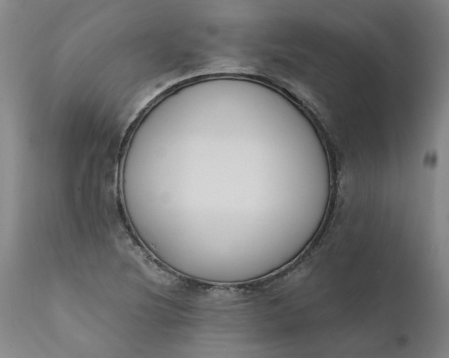 X0000110691220200906261336