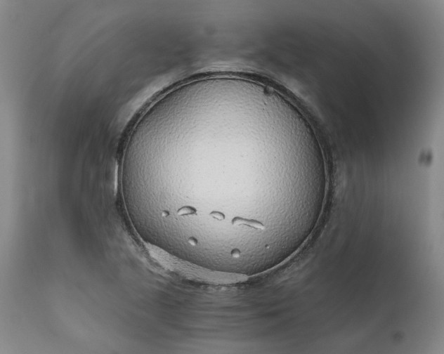 X0000110691221200906261336