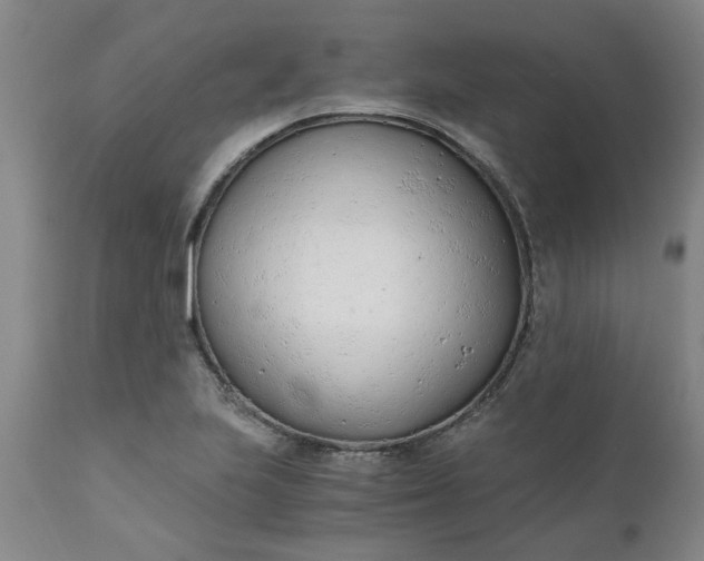 X0000110691223200906261336