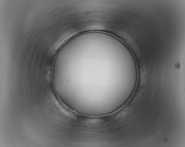 X0000110691225200906261336