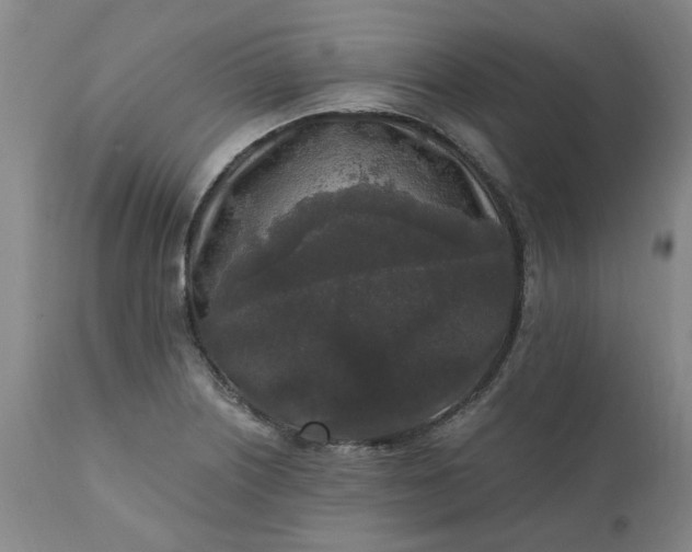 X0000110691226200906261336