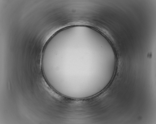 X0000110691228200906261336