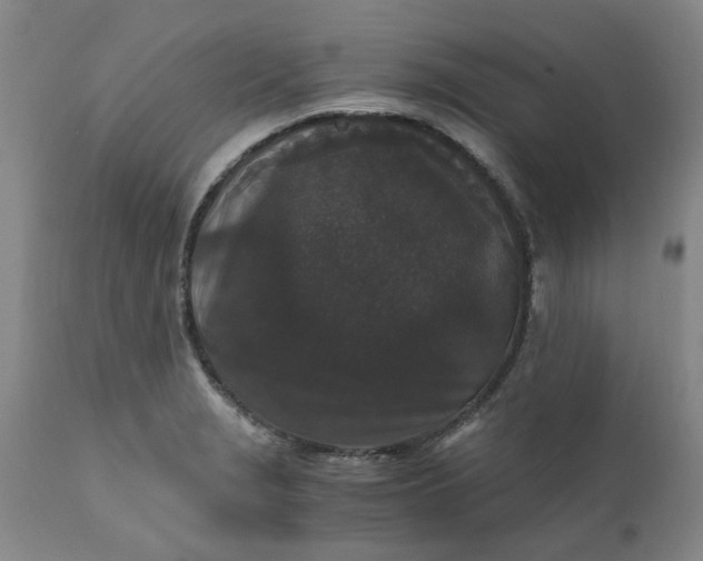 X0000110691229200906261336