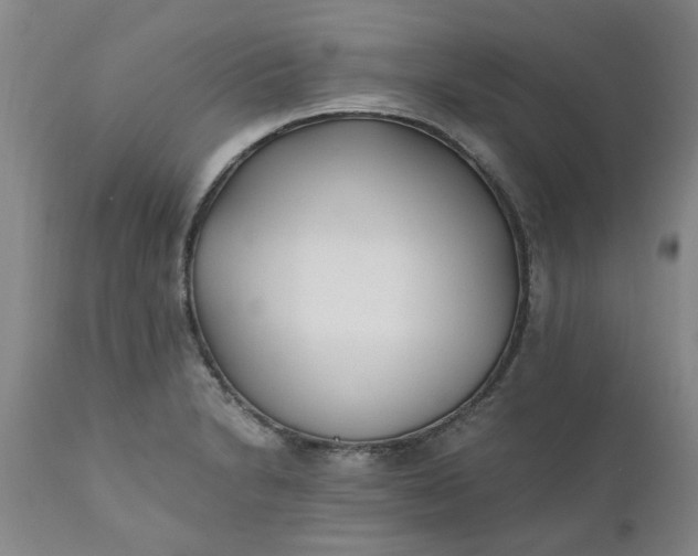 X0000110691230200906261336