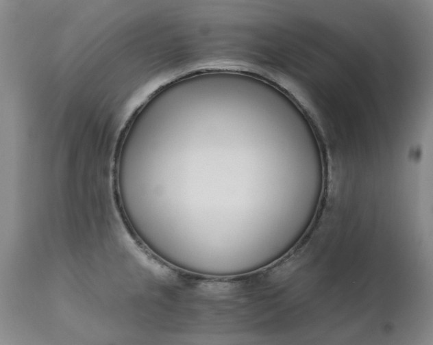 X0000110691237200906261336