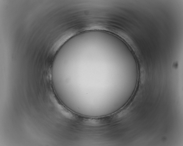 X0000110691241200906261336