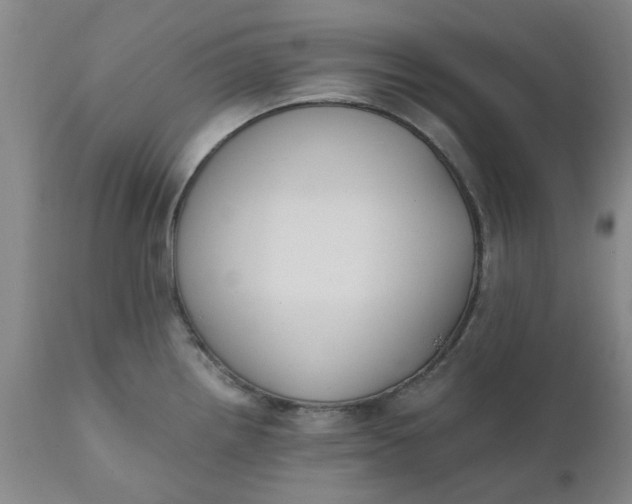 X0000110691242200906261336