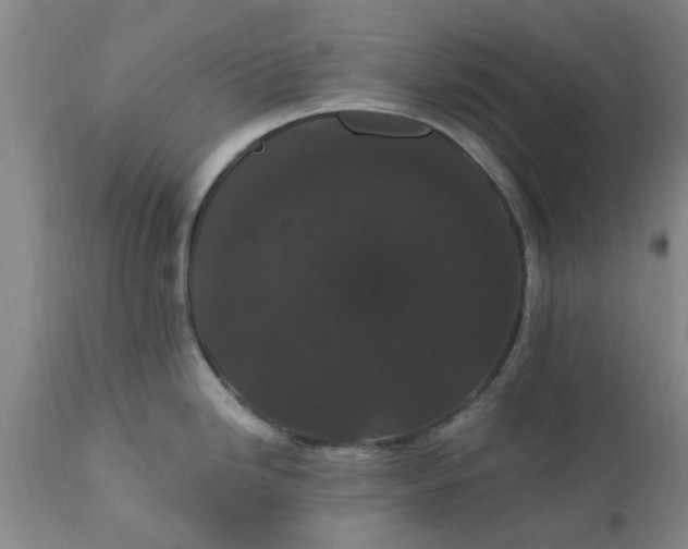 X0000110691246200906261337