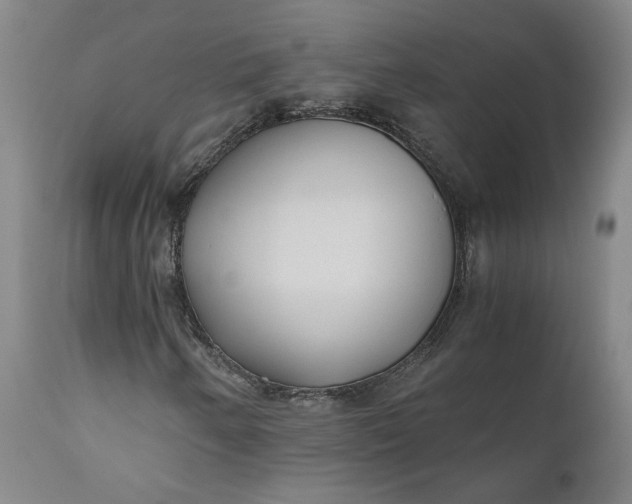 X0000110691250200906261336