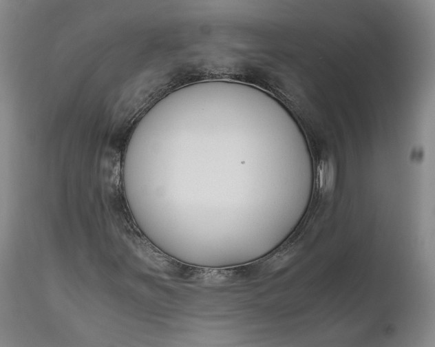 X0000110691251200906261336