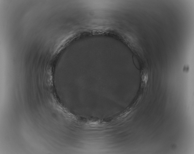 X0000110691252200906261336