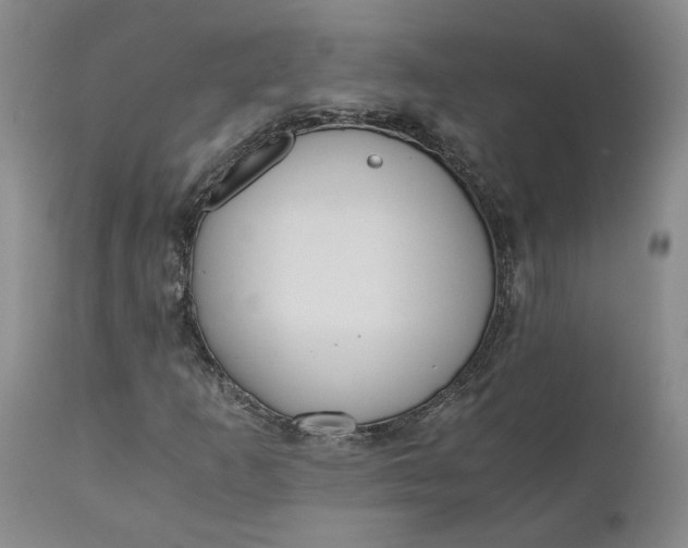 X0000110691253200906261336