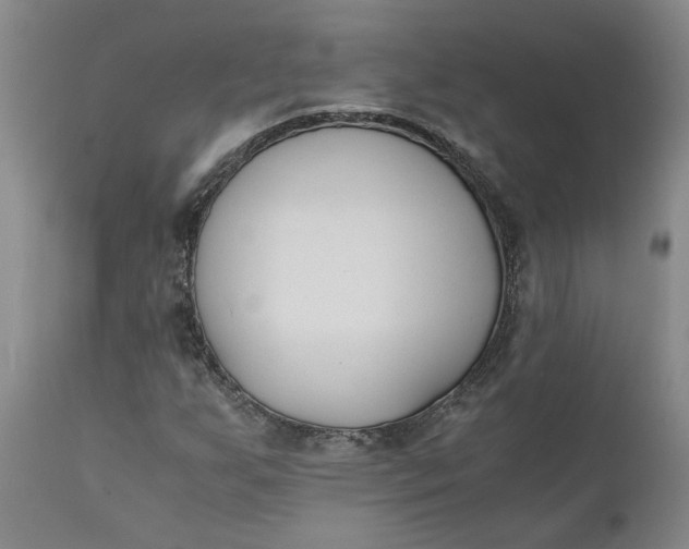 X0000110691255200906261336