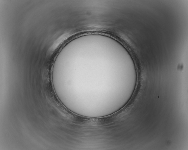 X0000110691259200906261336