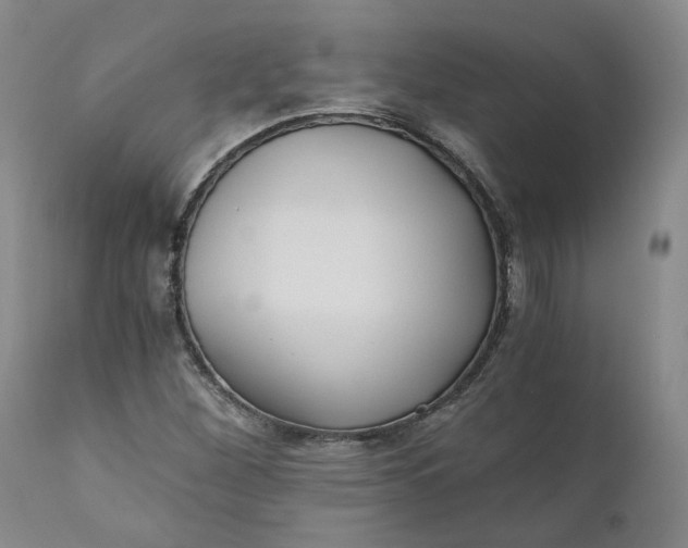 X0000110691260200906261336