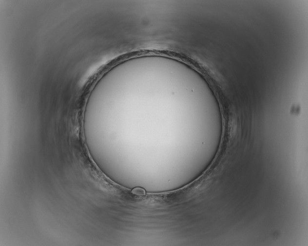 X0000110691262200906261336