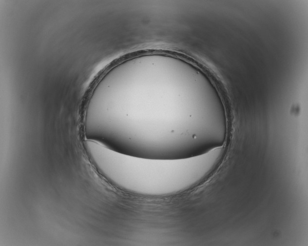 X0000110691264200906261336