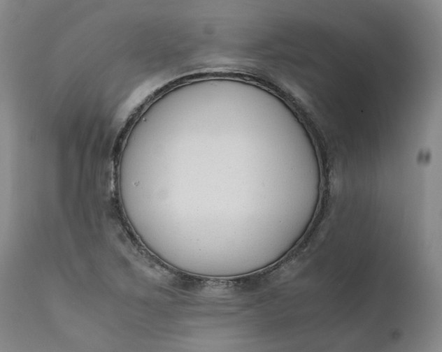 X0000110691267200906261336