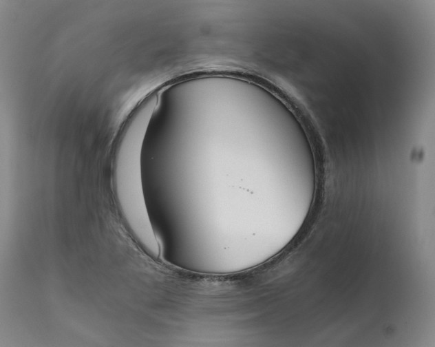 X0000110691269200906261336