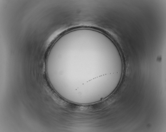 X0000110691271200906261336