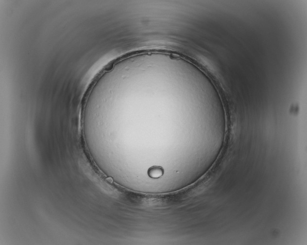 X0000110691275200906261336