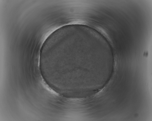 X0000110691276200906261336