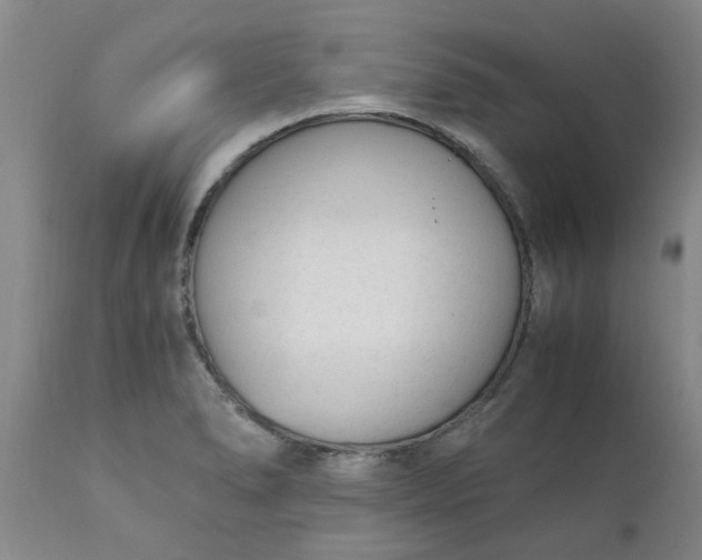 X0000110691278200906261335