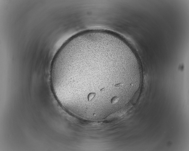 X0000110691279200906261335