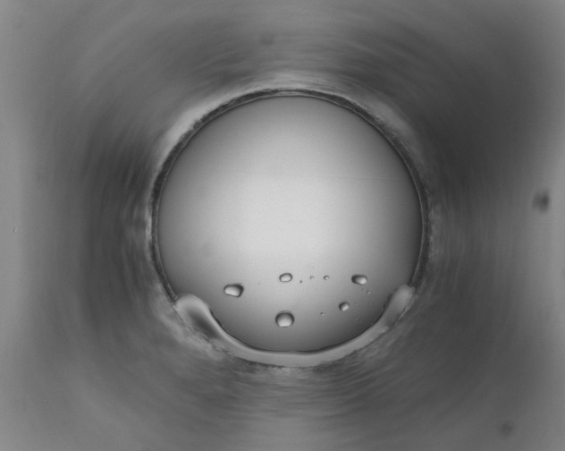 X0000110691280200906261335