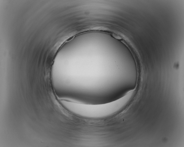 X0000110691281200906261335