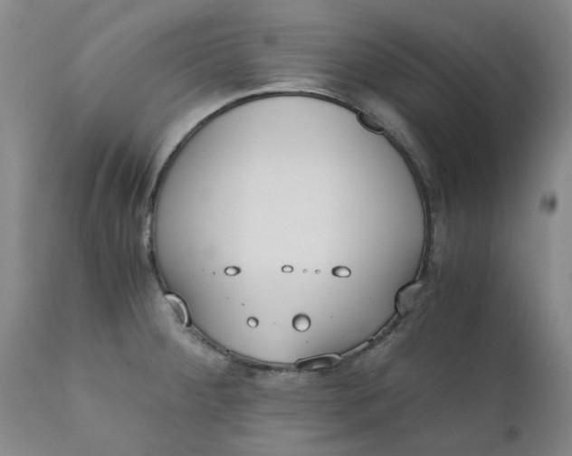 X0000110691284200906261335