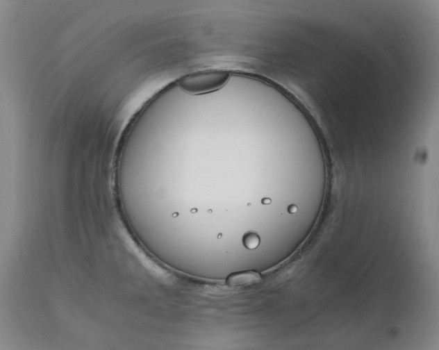 X0000110691285200906261335