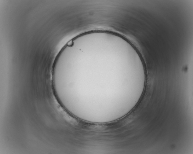 X0000110691287200906261335