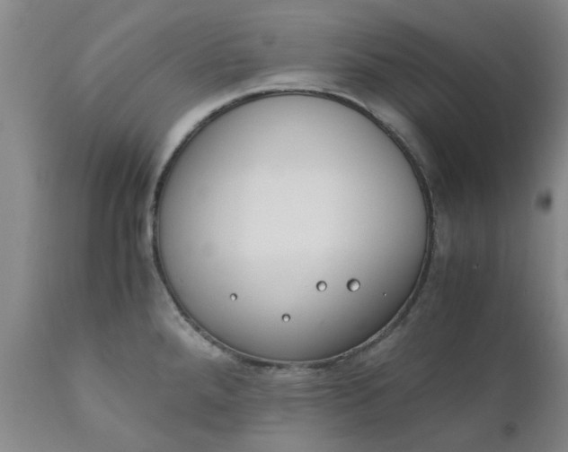 X0000110691288200906261335