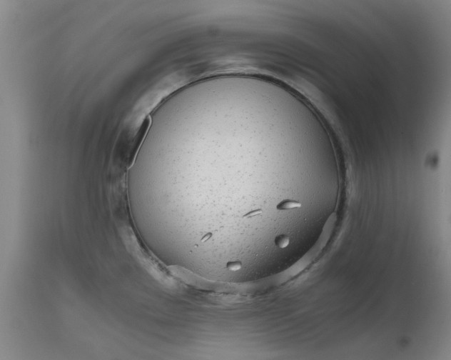 X0000110691289200906261335