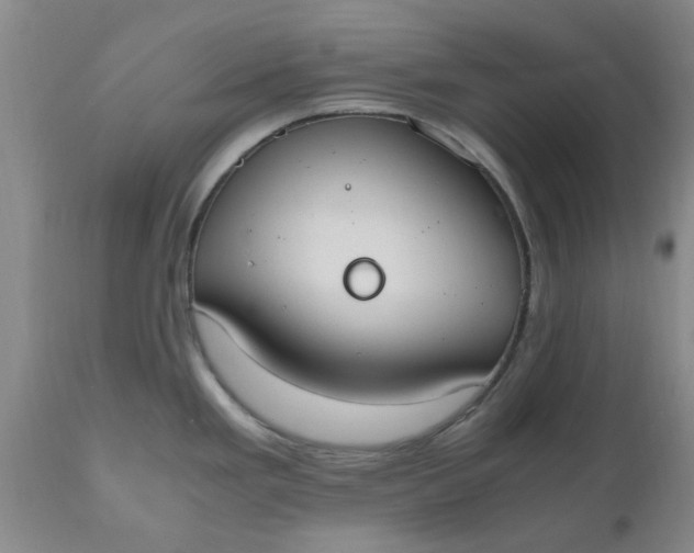 X0000110691293200906261335