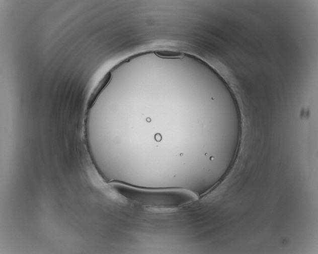 X0000110691296200906261335