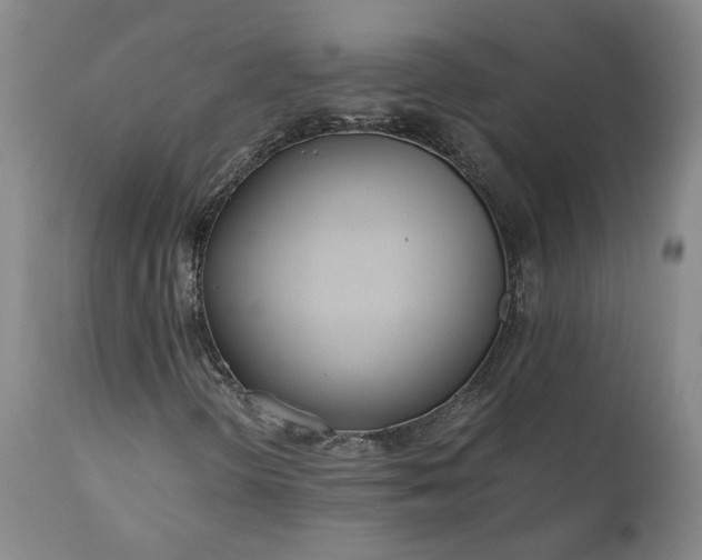 X0000110691298200906261334