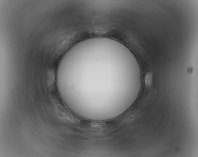 X0000110691299200906261334