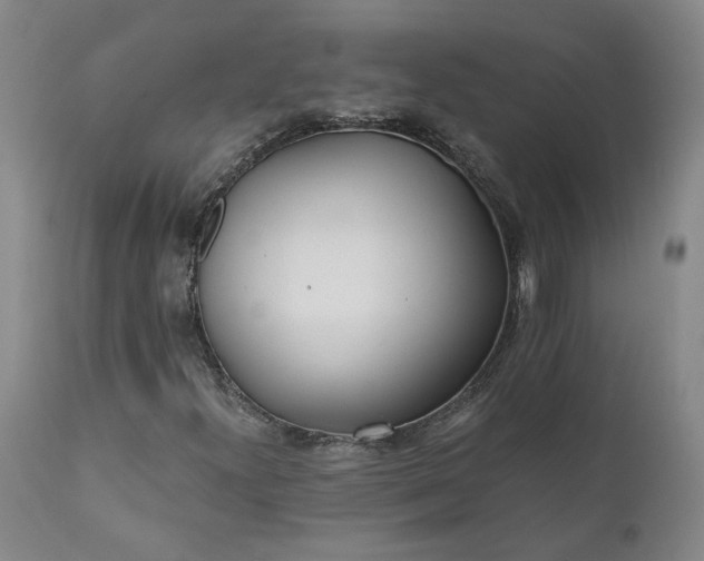 X0000110691300200906261334